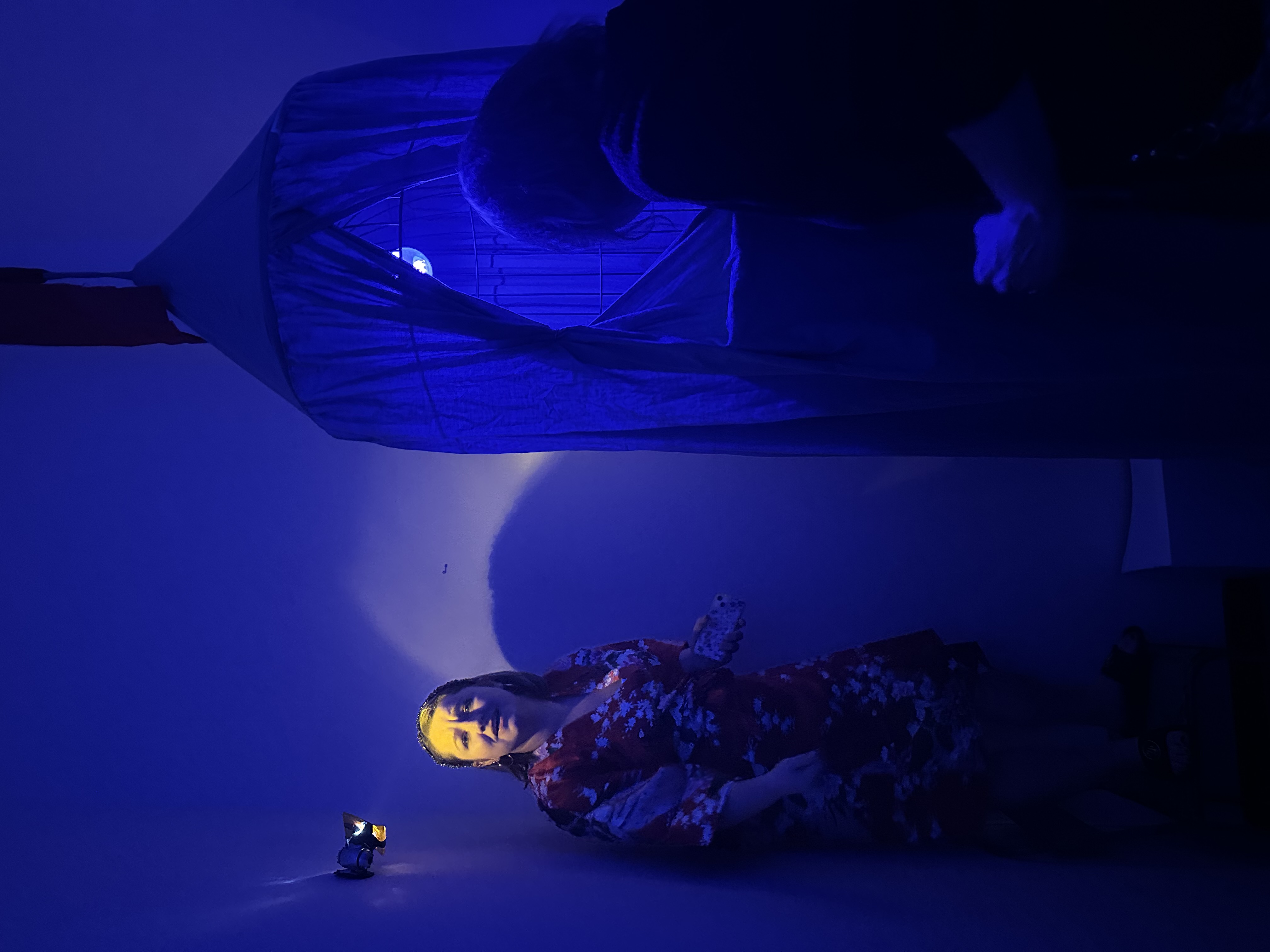 A recess lit in blue with Ioana in a headband and dressing gown and a half-covered birdcage, into which an audience member is poking their head